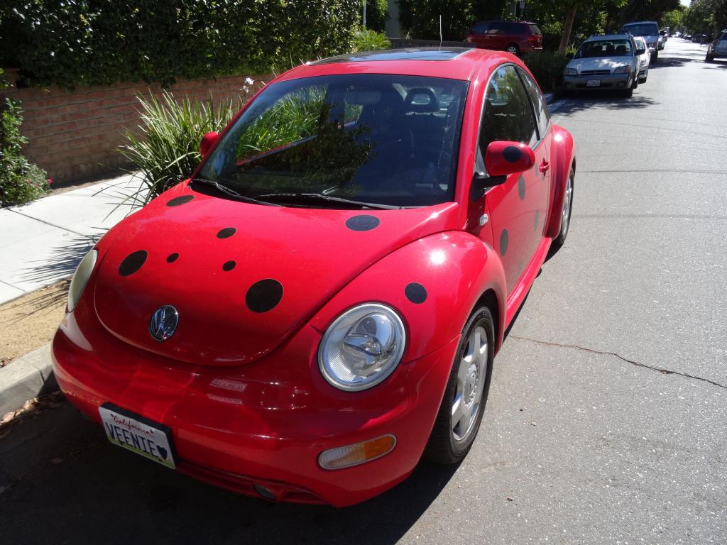 109 - Red Bug