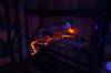 135 - 20250503 Neon Stardust Aphexcx Triode Panasonic DC-ZS200D