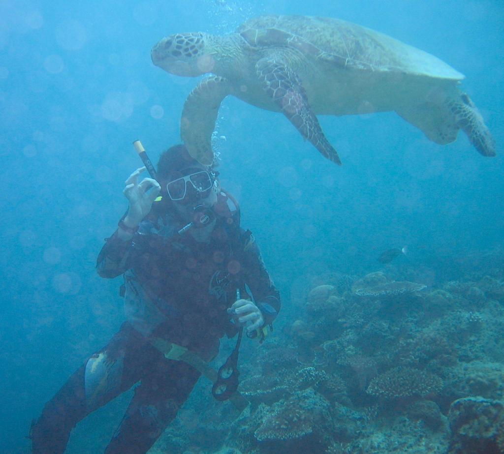 20050921 - Sipadan-Kapalai-Dive5-3 110