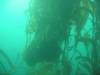 302 - Monterey-Dive-1-3