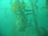 304 - Monterey-Dive-1-3