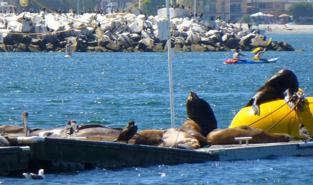 110 - 20120901 San Diego Boat