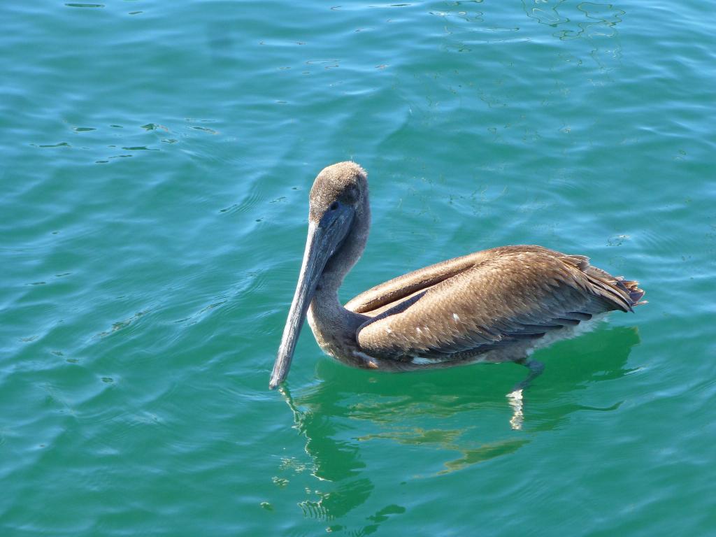 111 - 20120901 San Diego Boat