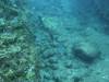 1202 - Yonaguni-Dive1-2