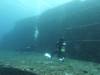 1214 - Yonaguni-Dive1-2