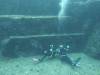 1216 - Yonaguni-Dive1-2