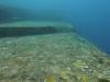 1219 - Yonaguni-Dive1-2