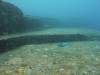 1220 - Yonaguni-Dive1-2