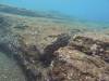 1223 - Yonaguni-Dive1-2