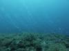 1311 - Yonaguni-Dive1-3