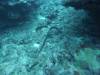 1407 - Yonaguni-Dive1-4