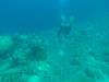 105 - Dive3-3 Heian Maru