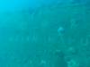 107 - Dive3-3 Heian Maru