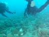 111 - Dive3-3 Heian Maru