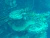 113 - Dive3-3 Heian Maru