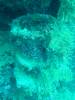 119 - Dive3-3 Heian Maru