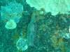 127 - Dive3-3 Heian Maru