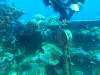 238 - Dive4-3 Fujikawa Maru