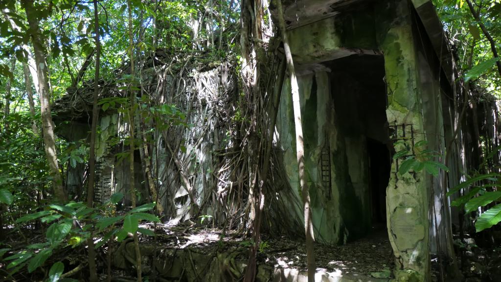 Peleliu Land Tour-326 Peleliu Land Tour