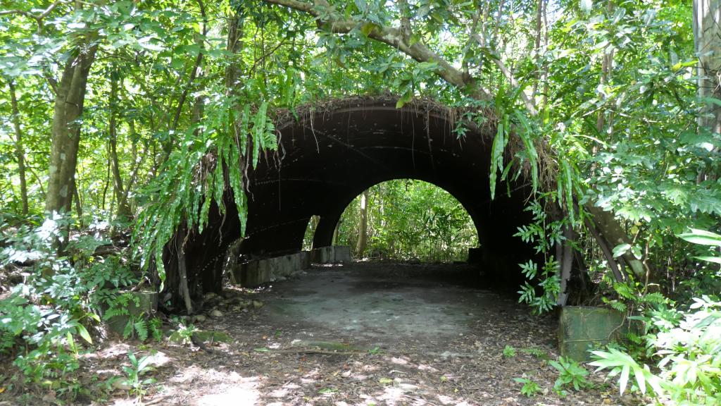 Peleliu Land Tour-340 Peleliu Land Tour