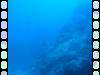 20150717 - Cocos Argos-Dive7-2 Manuelita Outside-108 Dive7-2 Manuelita Outside