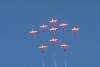 245 - SnowBirds