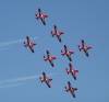 249 - SnowBirds