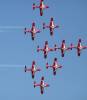 250 - SnowBirds