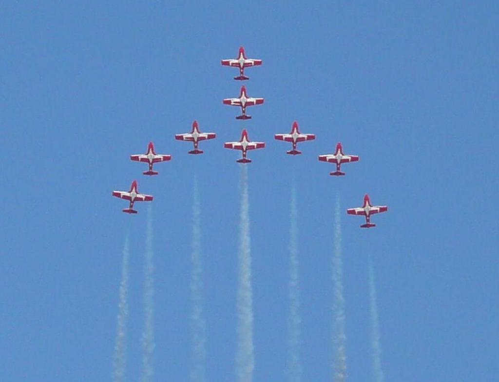 218 - SnowBirds