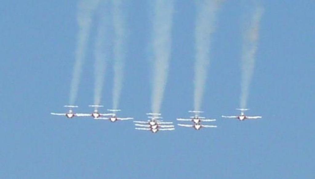 219 - SnowBirds