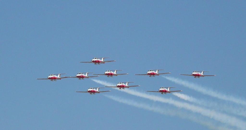 223 - SnowBirds