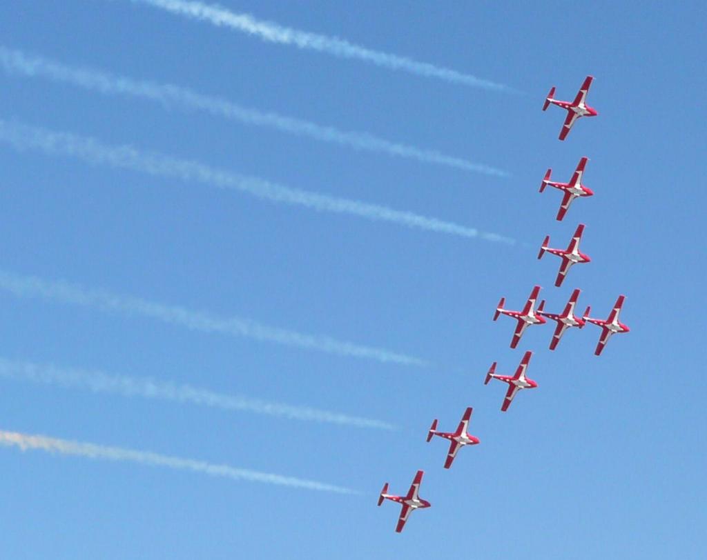 227 - SnowBirds