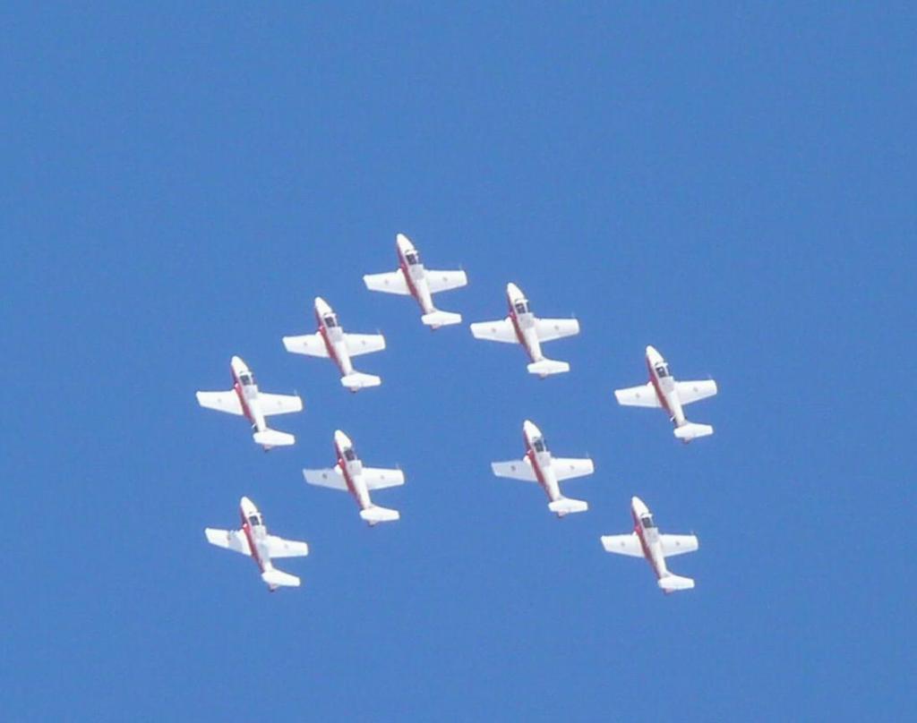 228 - SnowBirds