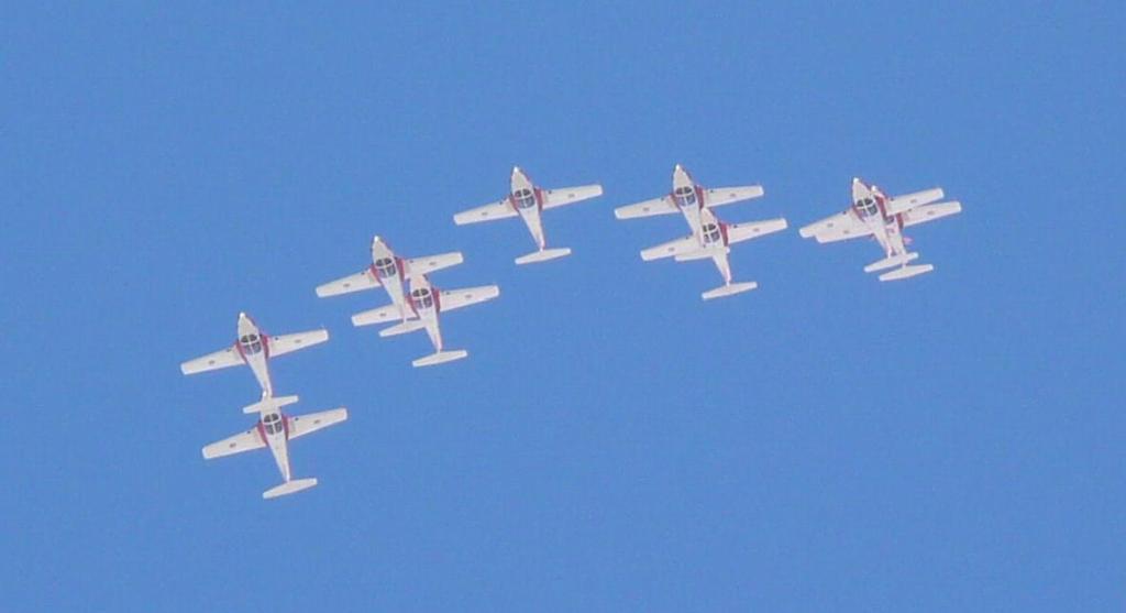 229 - SnowBirds