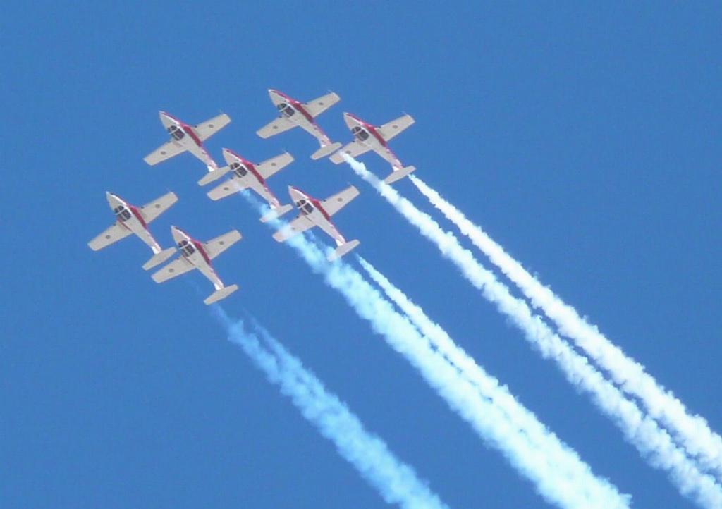 233 - SnowBirds