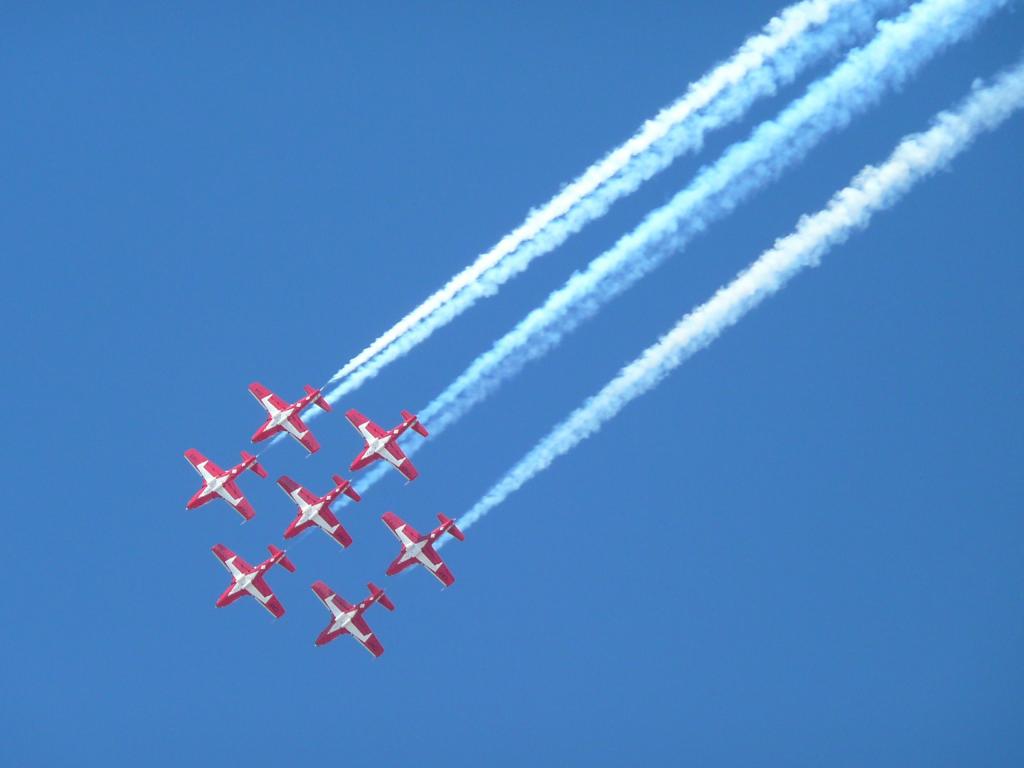 235 - SnowBirds