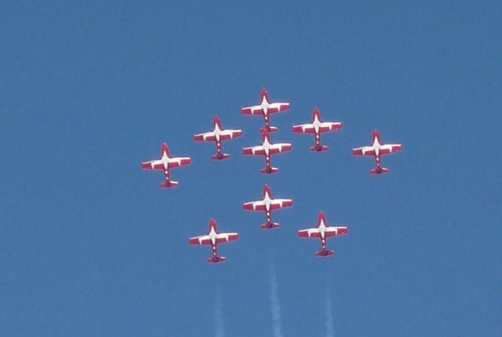 245 - SnowBirds