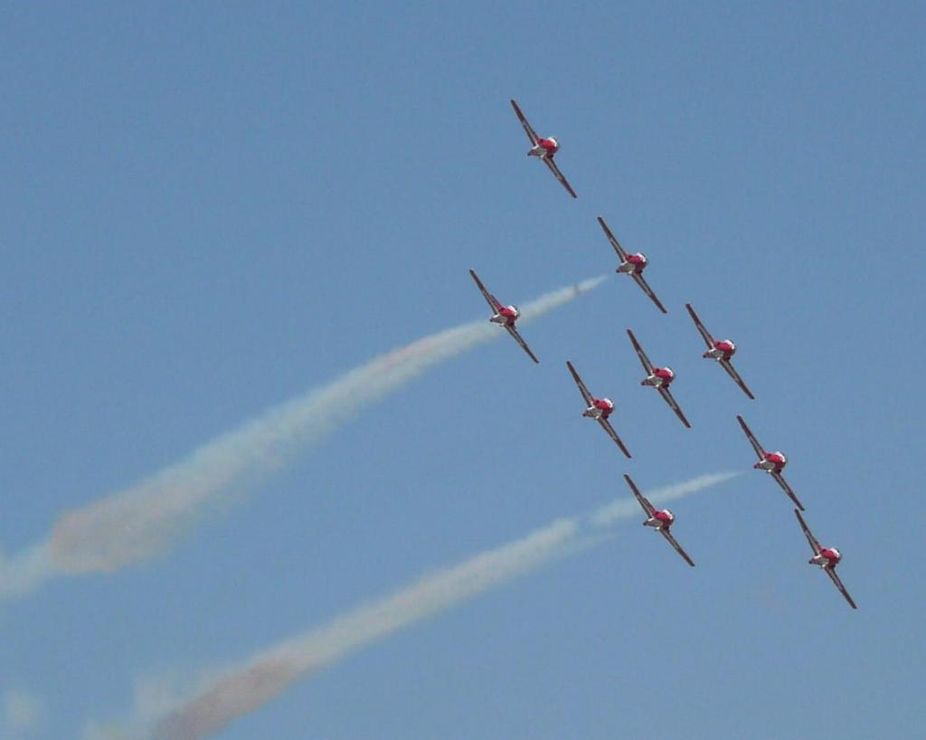 248 - SnowBirds