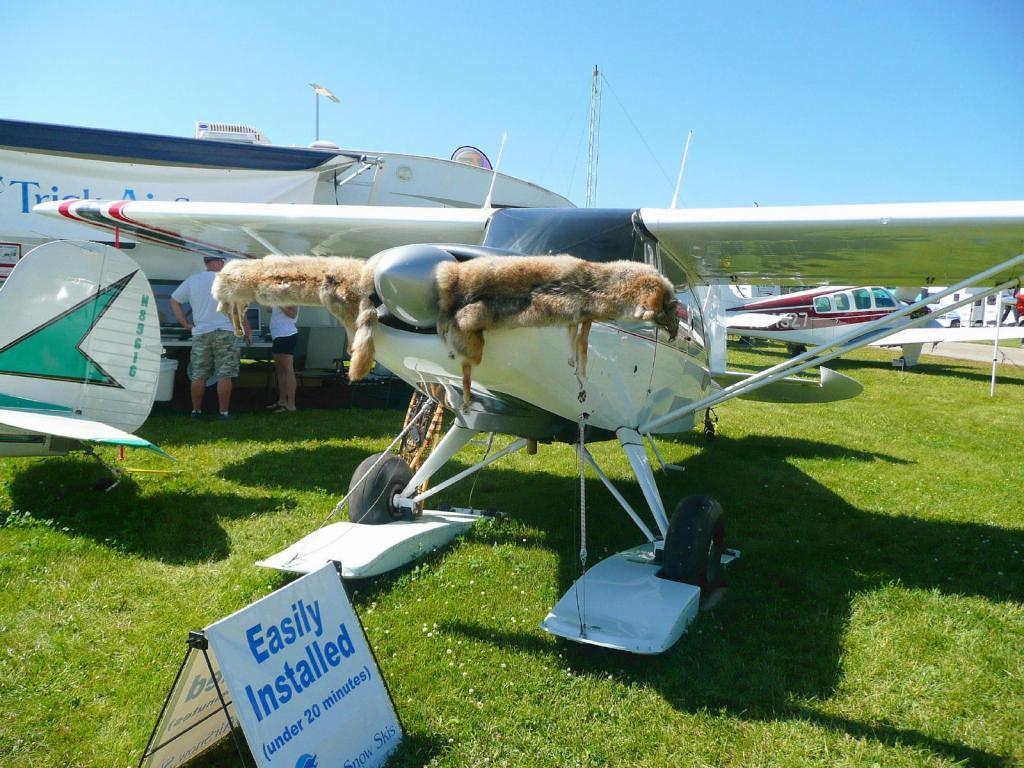 307 - Planes Display