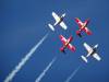 6532 - Airshow Snowbirds