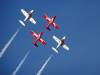 6533 - Airshow Snowbirds