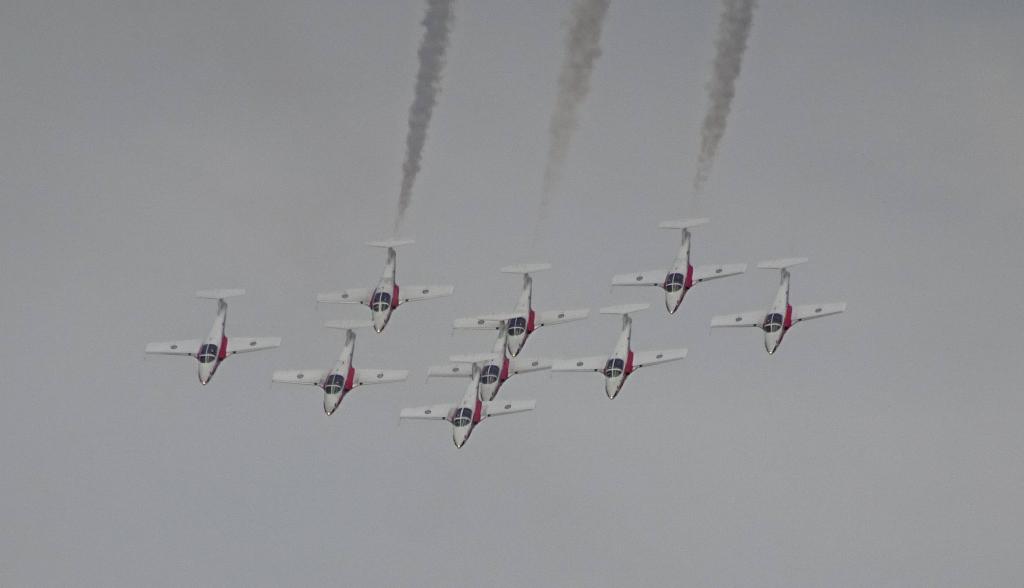 6501 - Airshow Snowbirds