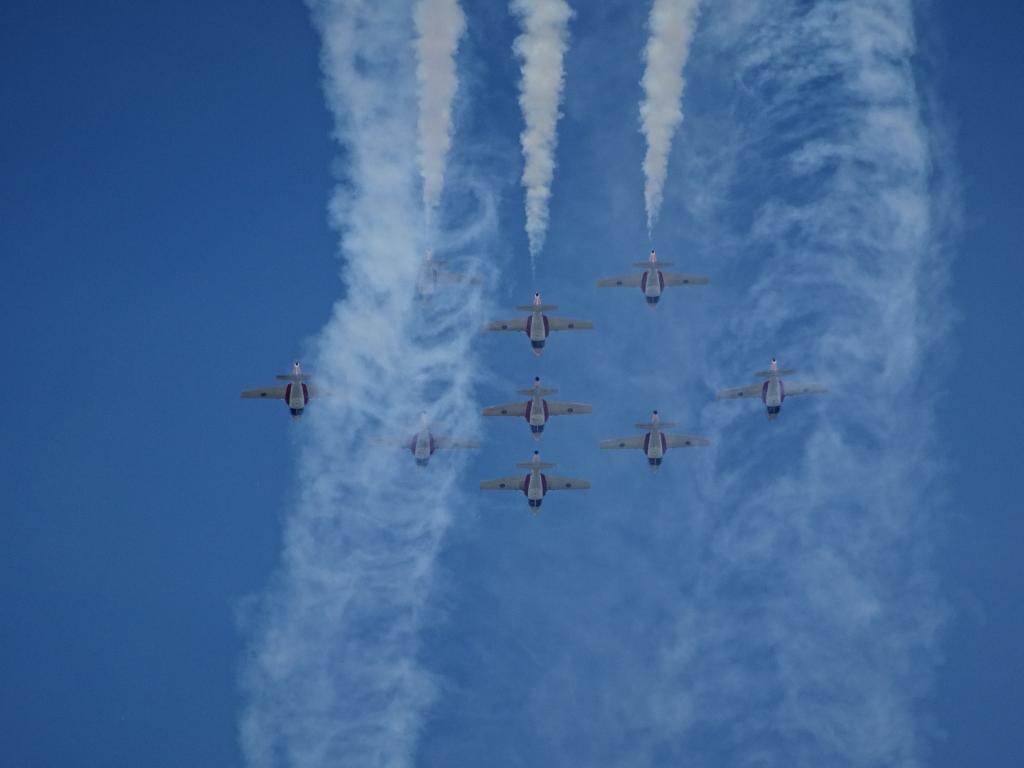 6513 - Airshow Snowbirds