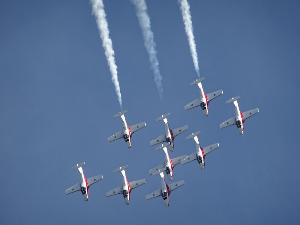 6519 - Airshow Snowbirds