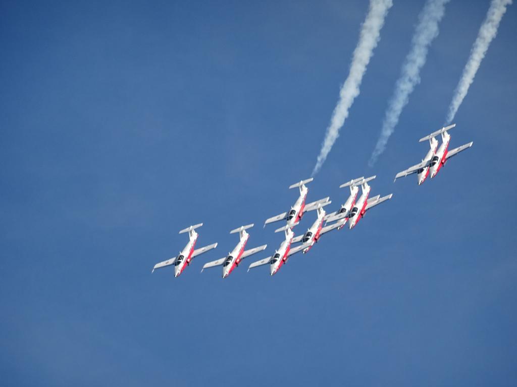 6520 - Airshow Snowbirds