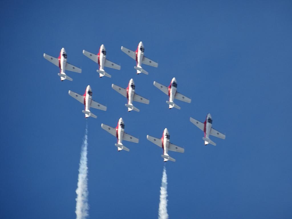 6521 - Airshow Snowbirds