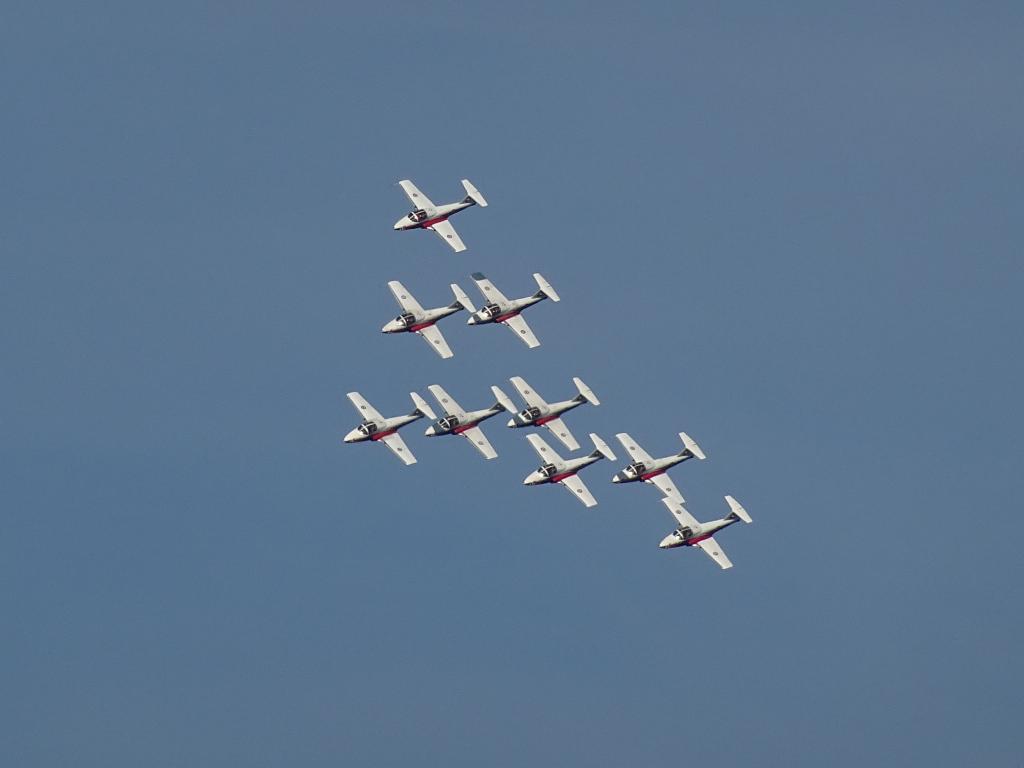 6522 - Airshow Snowbirds