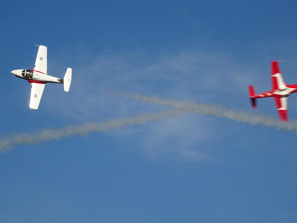 6534 - Airshow Snowbirds