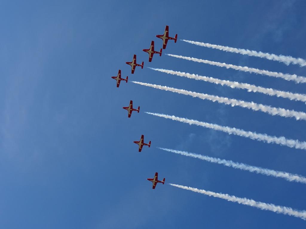 6540 - Airshow Snowbirds