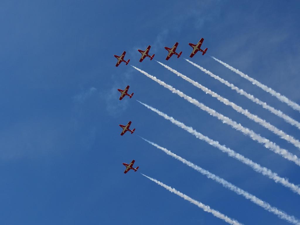 6541 - Airshow Snowbirds